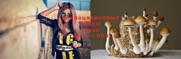 не бодяженный Абаза