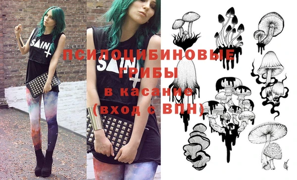прущие крисы Абинск