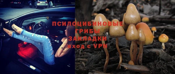 не бодяженный Абаза