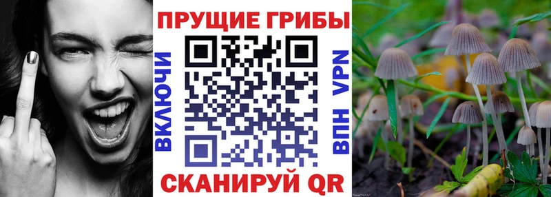 Псилоцибиновые грибы Magic Shrooms Трубчевск